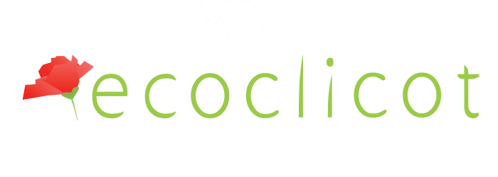 [Interview] Cédric Seauvy et William Giry, co-fondateurs de Ecoclicot